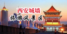 男女日屄裸体视频中国陕西-西安城墙旅游风景区